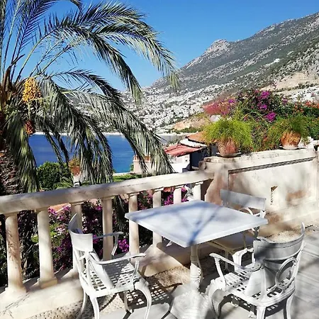 Sea View Bougainvillea 52