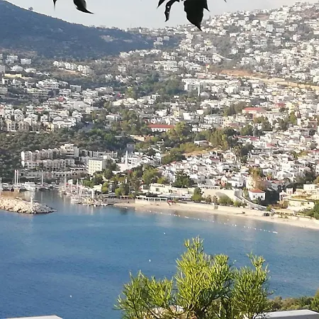 Sea View Bougainvillea 52 *