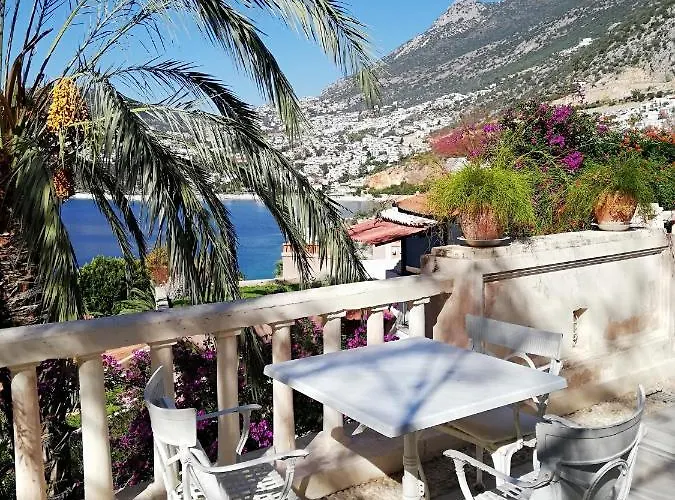 Sea View Bougainvillea 52