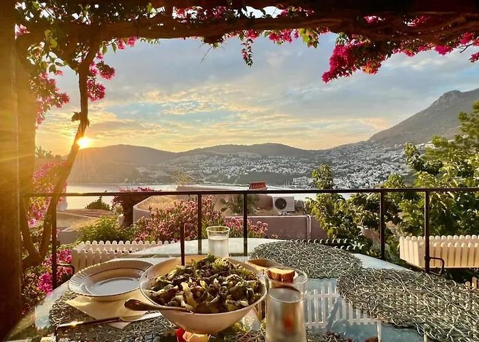 Sea View Bougainvillea 52