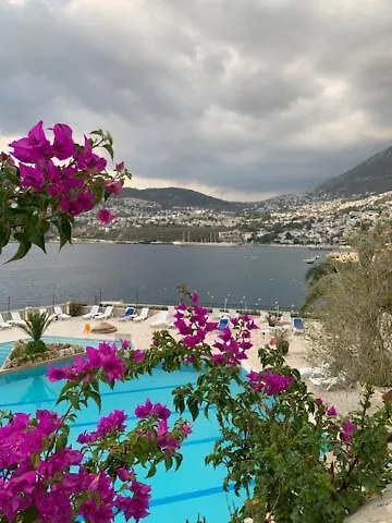 Sea View Bougainvillea 52 * Kalkan